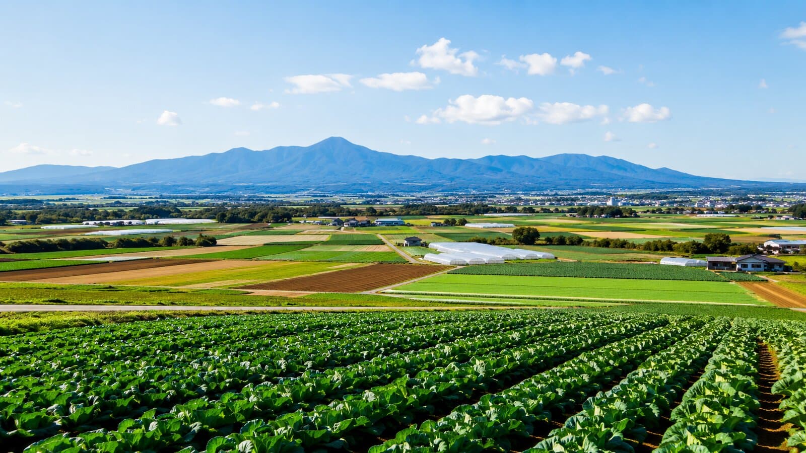 【クイズ】「地味な農業県」は大誤解!茨城の日本一、いくつ当てられる?